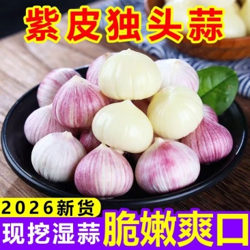 云南紫皮独头蒜一件.代发