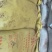 枣粉饲料牛羊鸡鸭鹅都爱吃