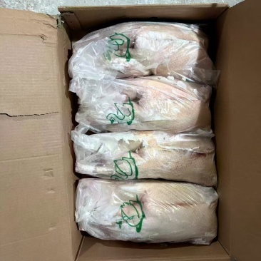朗德鹅的二级鹅