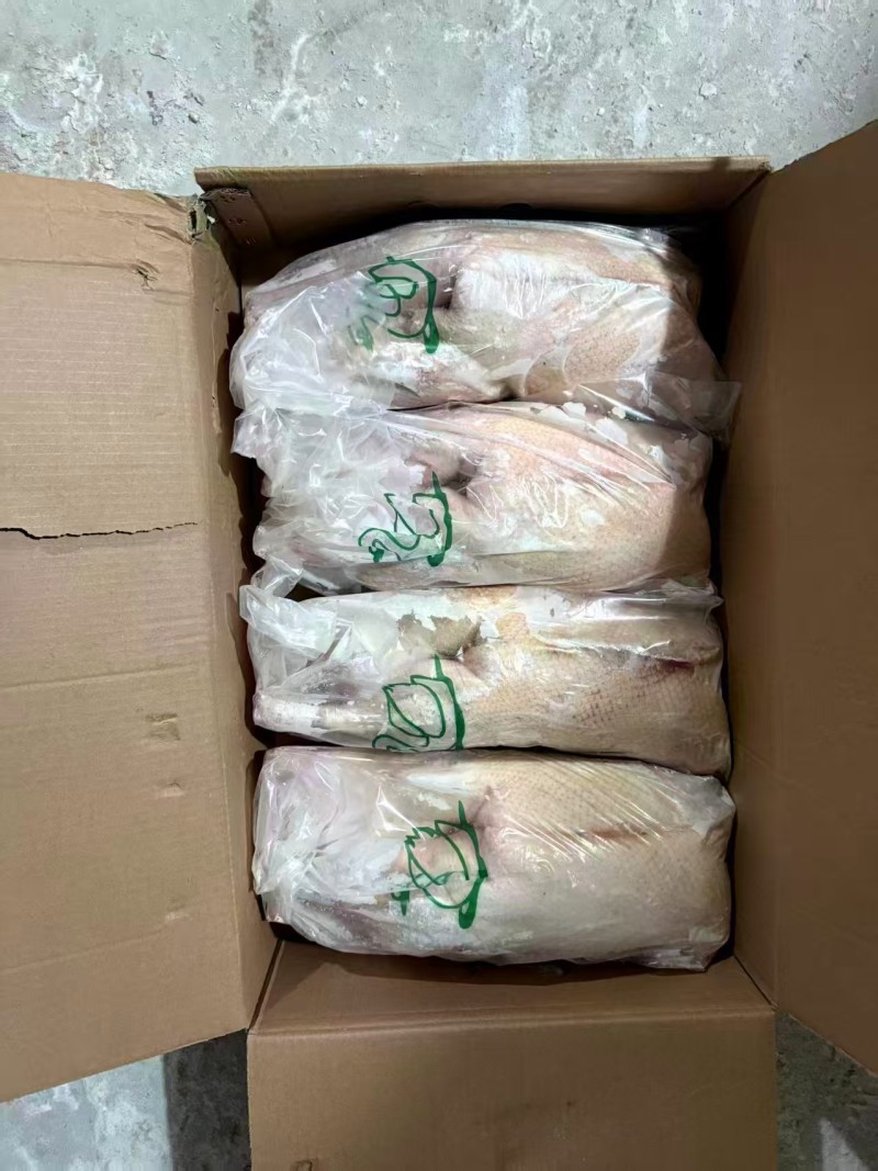 朗德鹅的二级鹅