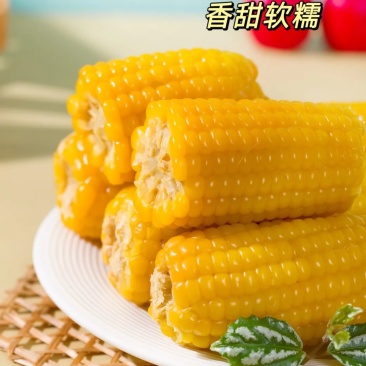 新疆甜食玉米