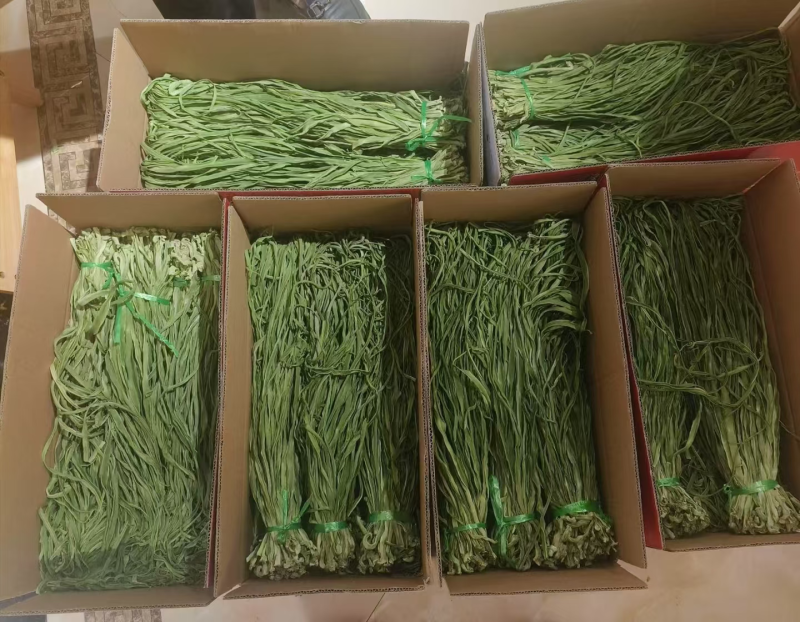 一级贡菜，大理场地直发，价格美丽欢迎各位老板前来合作