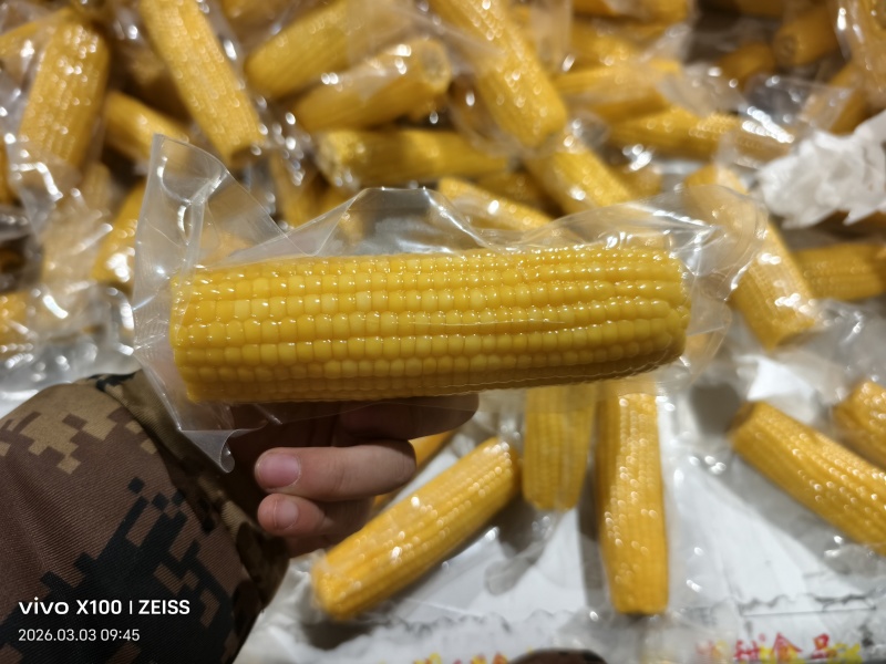得利斯金玉满堂真空甜糯玉米
