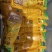 得利斯金玉满堂真空甜糯玉米