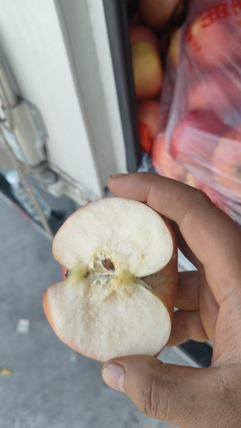 陕西红富士苹果