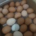 红白绿土鸡蛋