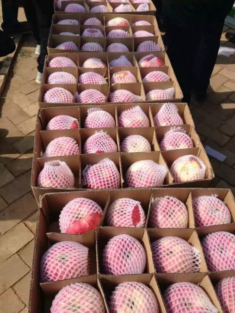 75/80商品果～一箱13斤左右