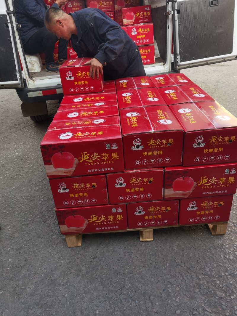 75/80商品果～一箱13斤左右