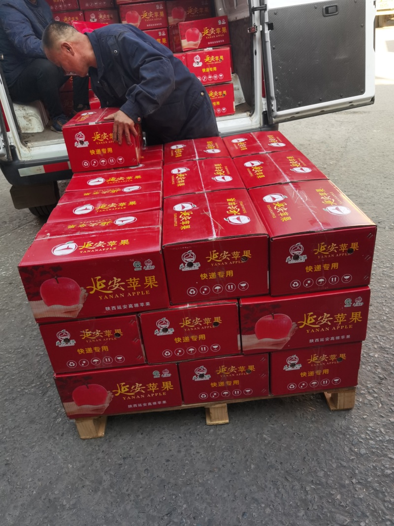 山地苹果，红富士