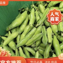 精品蚕豆/源头基地直供/货源充足/价格适中/欢迎咨询了解