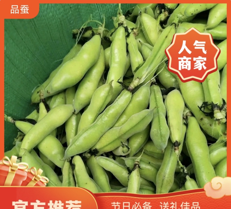 精品蚕豆/源头基地直供/货源充足/价格适中/欢迎咨询了解