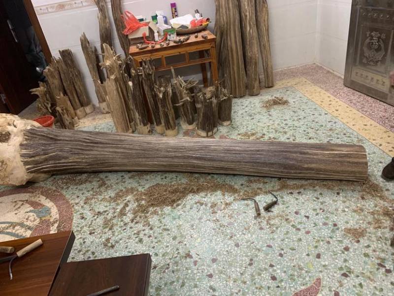 海南满黑油格沉香大摆件可上门看货