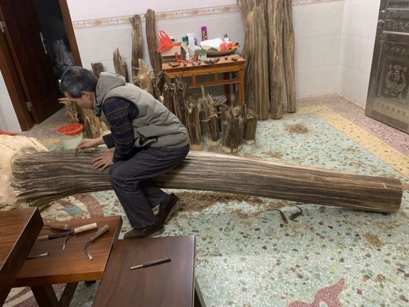 海南满黑油格沉香大摆件可上门看货