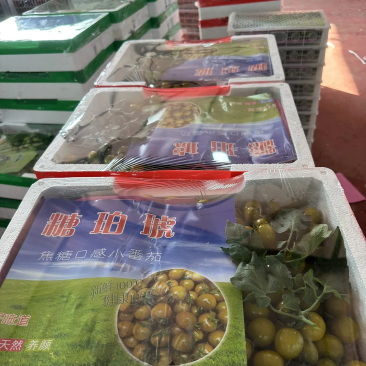 小西红柿