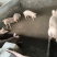 养一年以上的土猪，喂玉米粉豆粕麸皮，无打针无吃药口感鲜甜弹牙