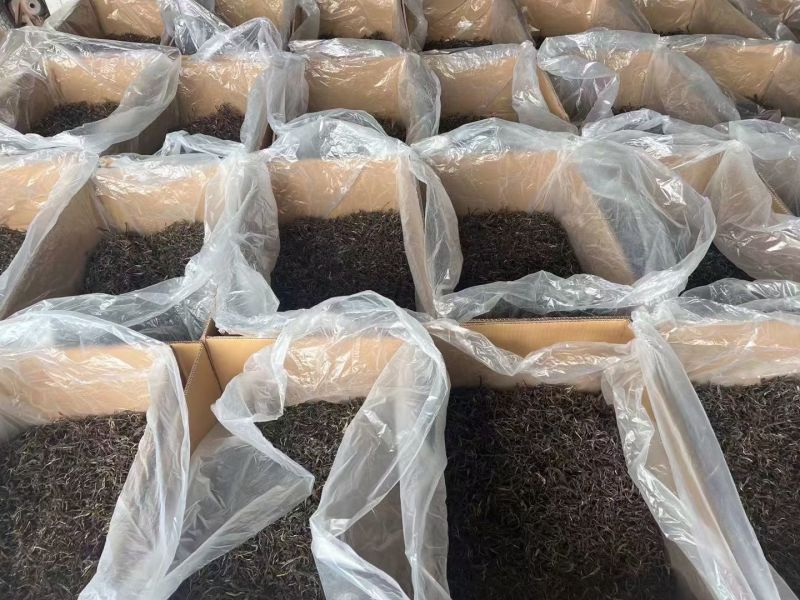云南普洱生茶