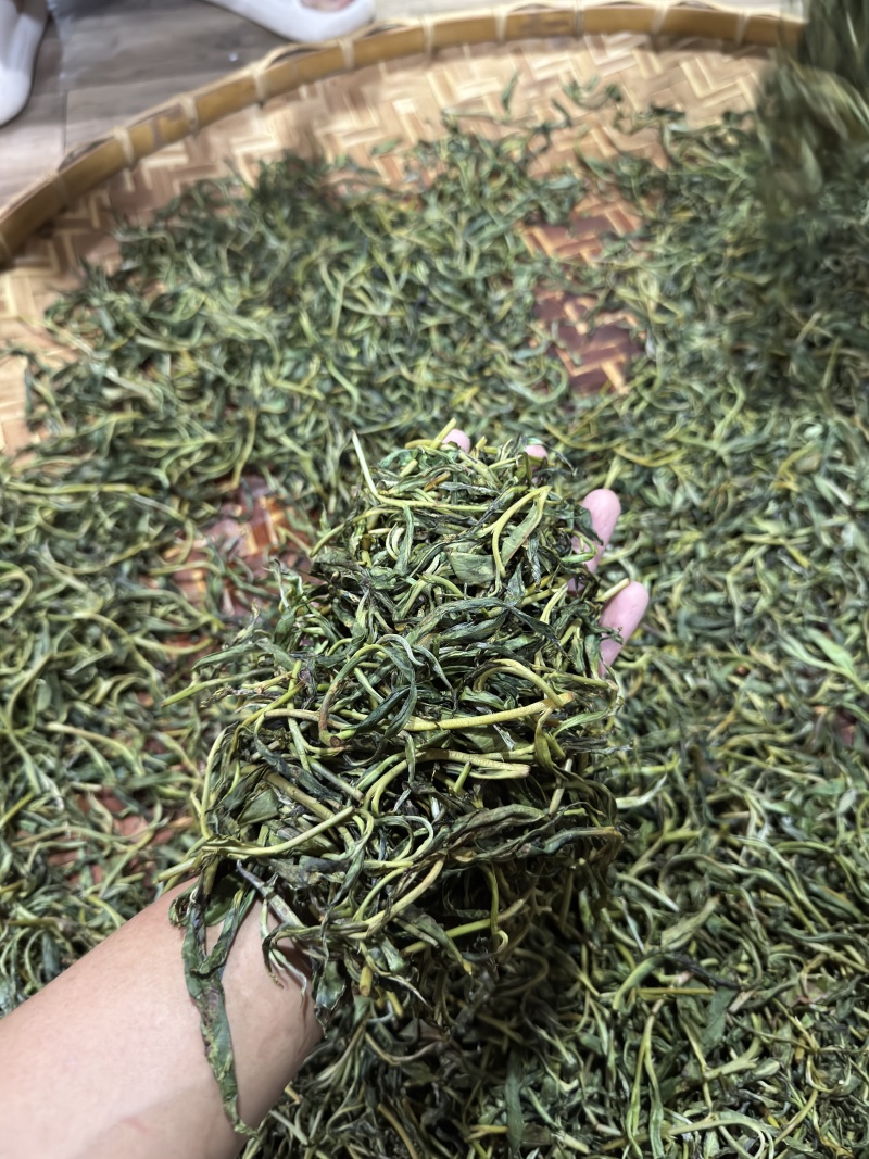 云南普洱生茶