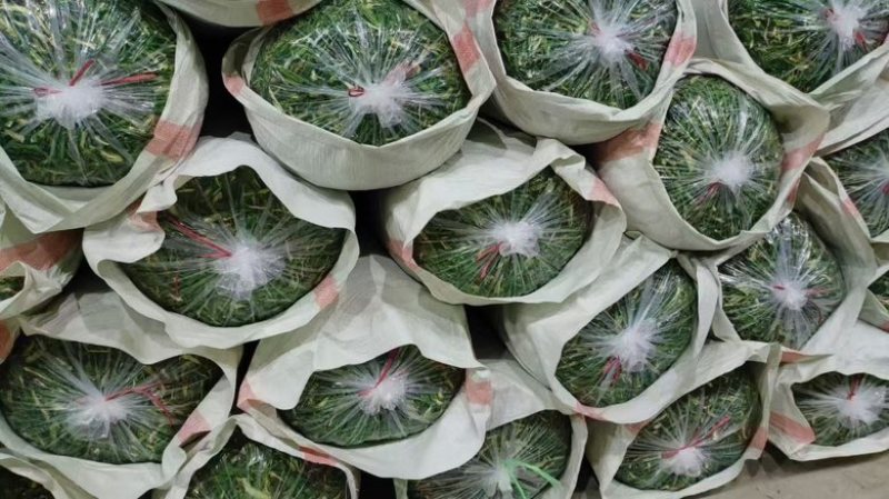 精品干辣椒条纯青干辣椒条