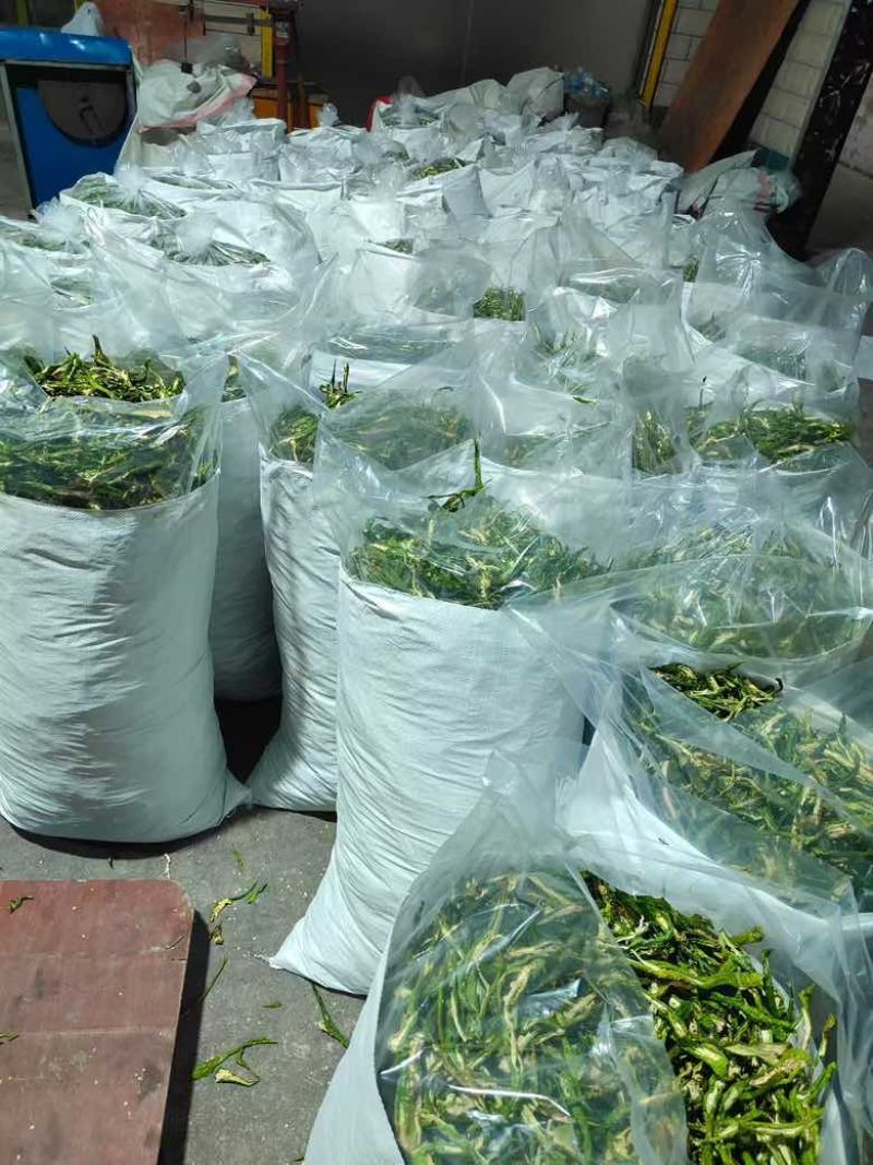 精品干辣椒条纯青干辣椒条