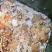 纯学校饭渣，每天10吨。没有辣椒麻椒。