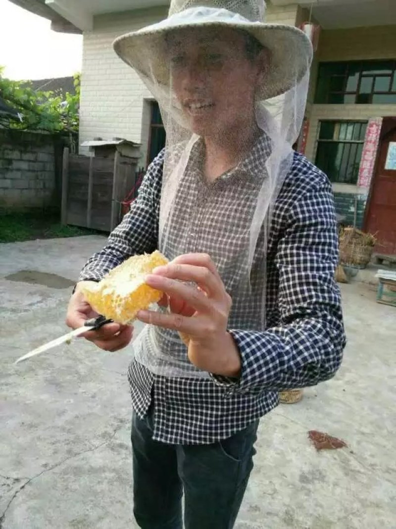贵州大山农家蜂蜜