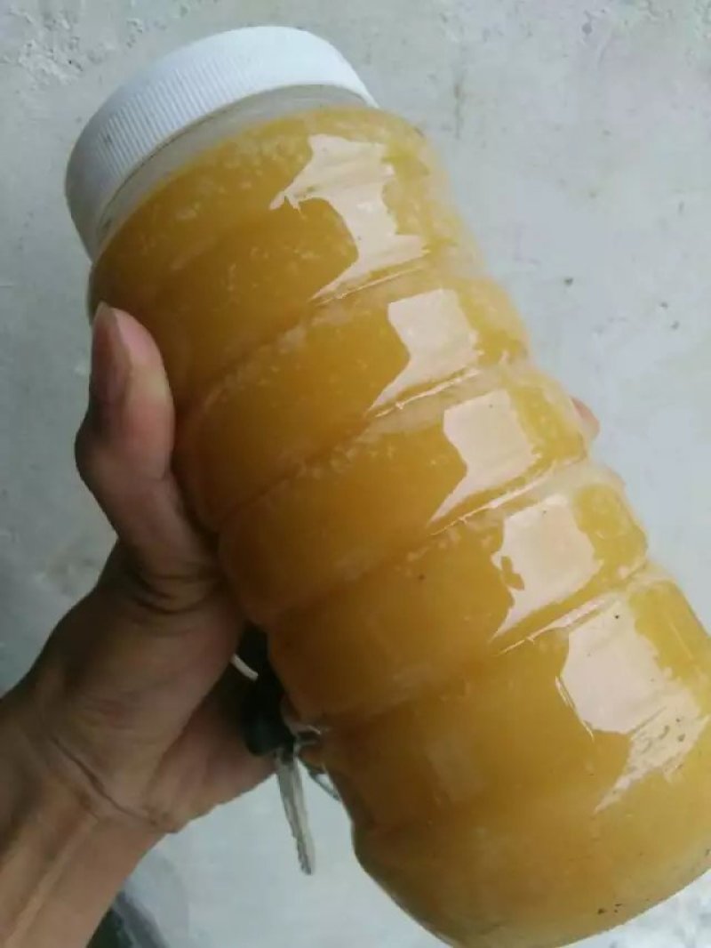 贵州大山农家蜂蜜