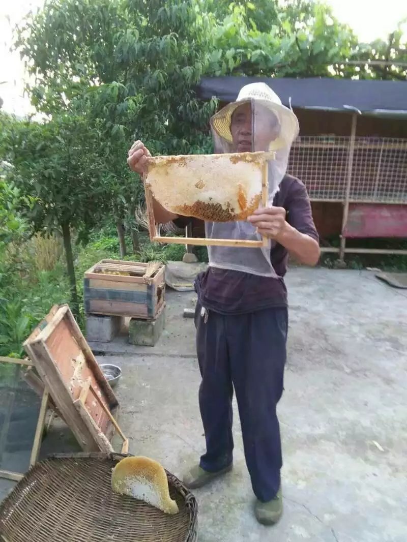 贵州大山农家蜂蜜