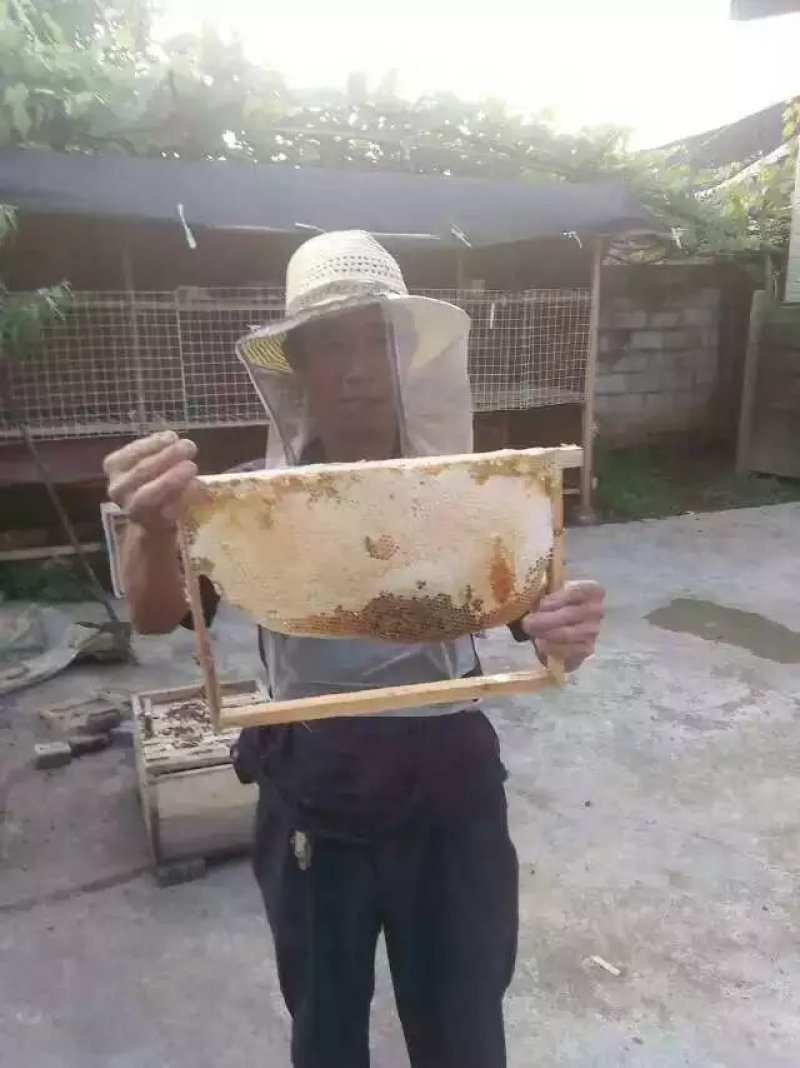 贵州大山农家蜂蜜