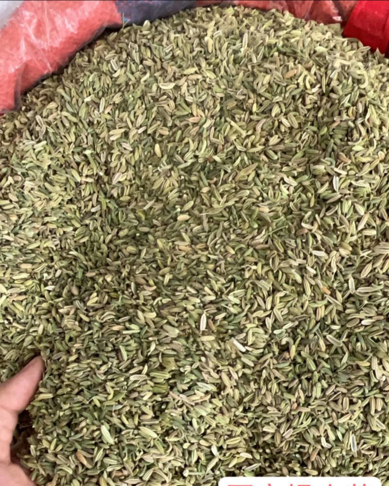 漂亮小茴香国产好货价格优惠