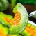 山东羊角蜜甜瓜新鲜当季水果脆甜小香瓜带箱5斤装