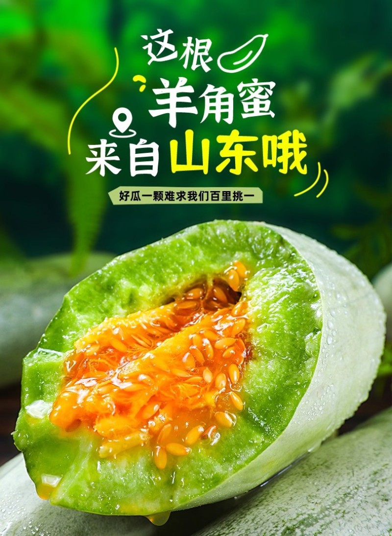 山东羊角蜜甜瓜新鲜当季水果脆甜小香瓜带箱5斤装
