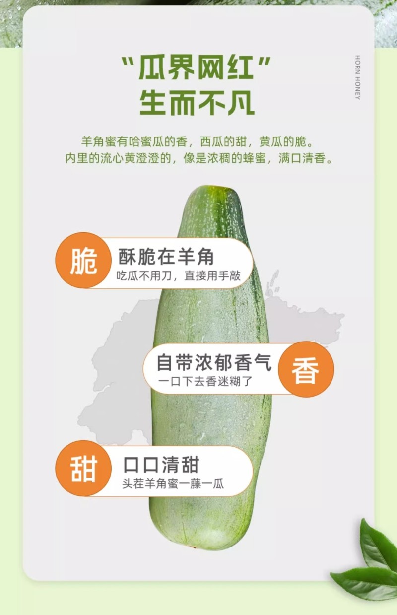 山东羊角蜜甜瓜新鲜当季水果脆甜小香瓜带箱5斤装