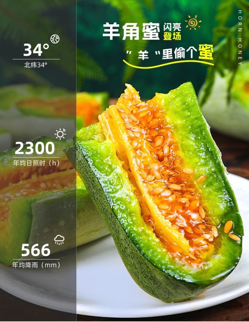 山东羊角蜜甜瓜新鲜当季水果脆甜小香瓜带箱5斤装