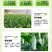 山东羊角蜜甜瓜新鲜当季水果脆甜小香瓜带箱5斤装