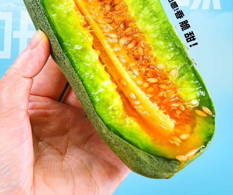 山东羊角蜜甜瓜新鲜当季水果脆甜小香瓜带箱5斤装