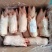 带筋猪蹄