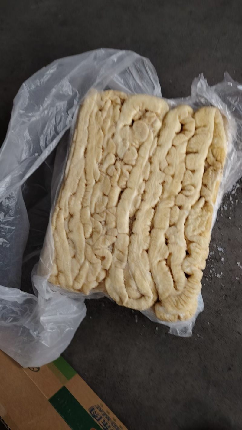 大肠