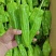 广东精品薄皮椒，芜湖椒，一手货源品质保证，全国发货