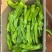 广东精品薄皮椒，芜湖椒，一手货源品质保证，全国发货