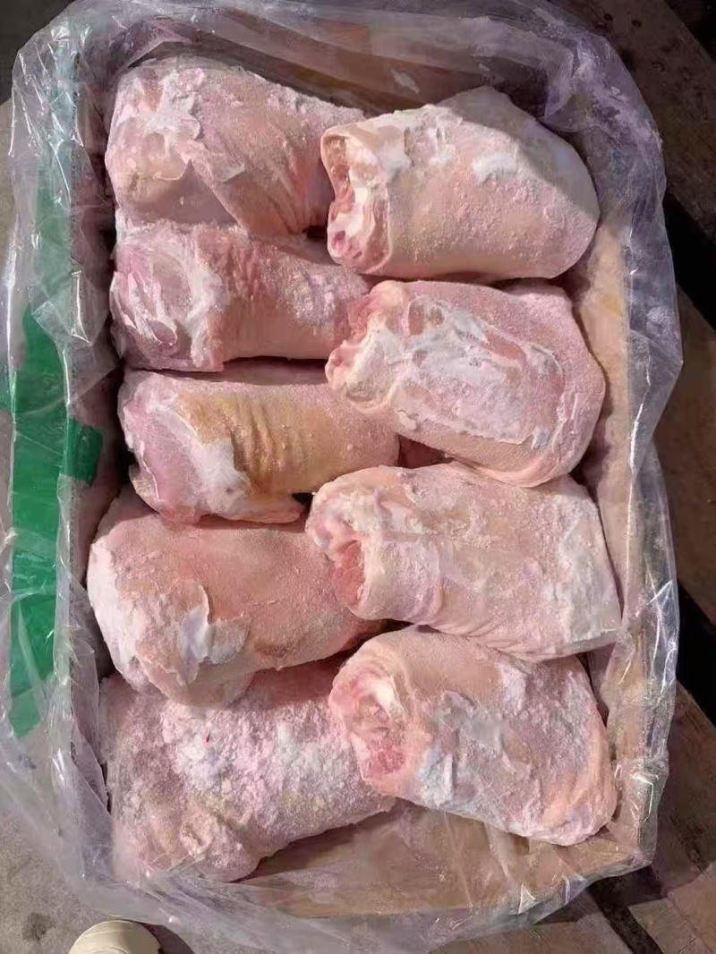 前肘