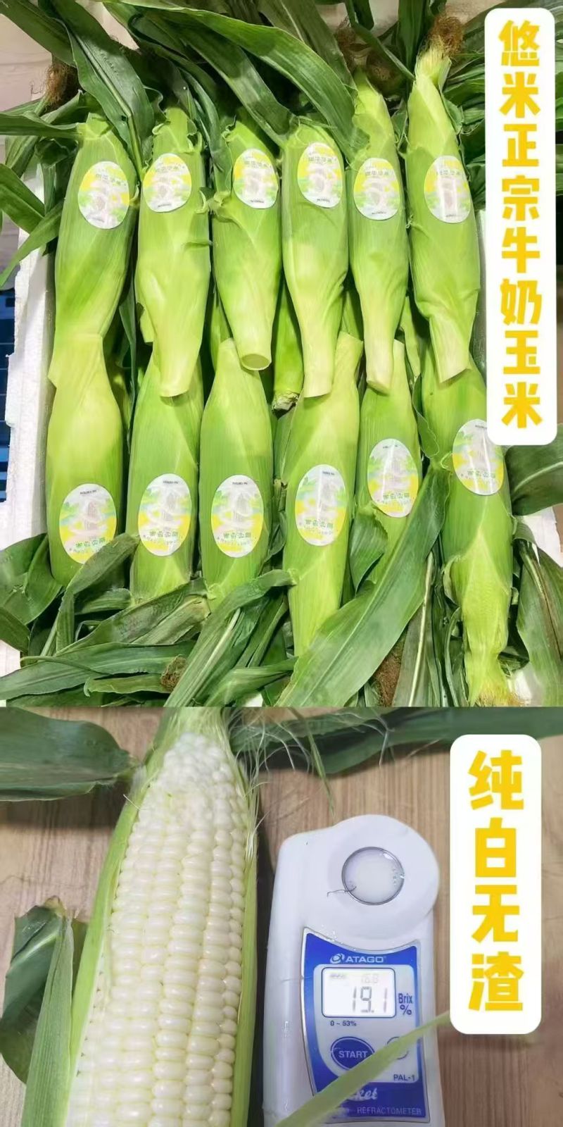 精装牛奶玉米