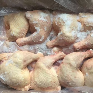 肉鸡边腿6吨