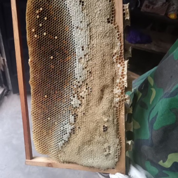 百花蜜**保证质量欢迎购买