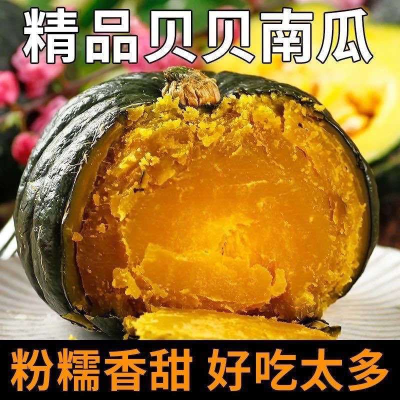 自己农场种植精品贝贝南瓜商品货