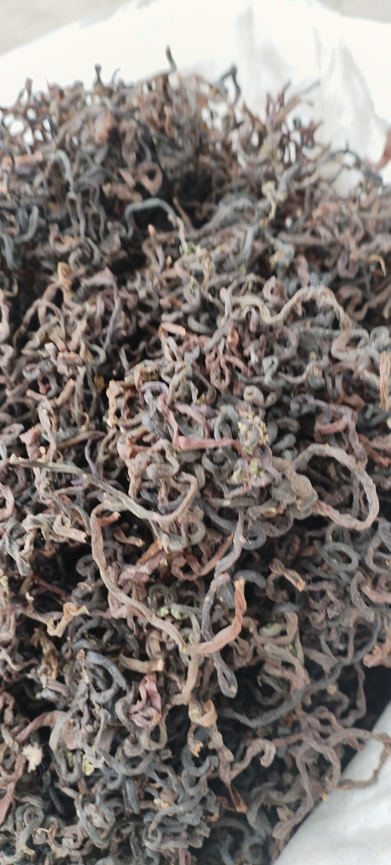 东北黑龙江薇菜