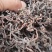 东北黑龙江薇菜