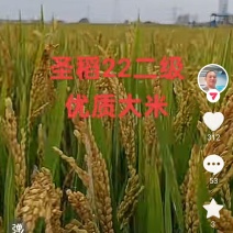 河南平顶山农家米