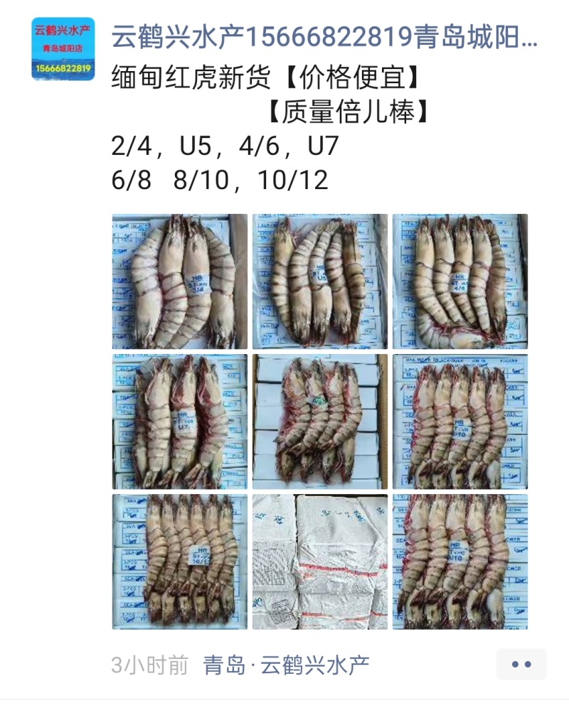 批发盐冻虾，缅甸红虎，印度黑虎，青虾仁，泰国红爪对虾，马来白