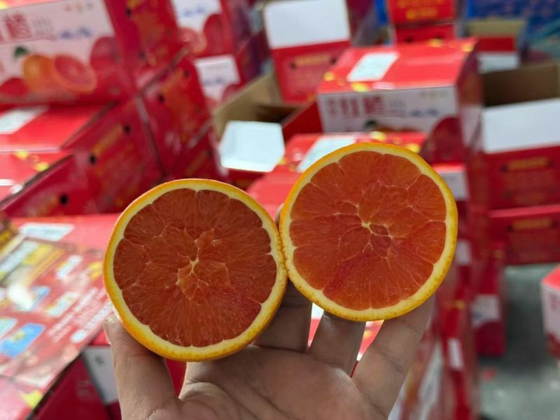 秭归血橙，量大价优，