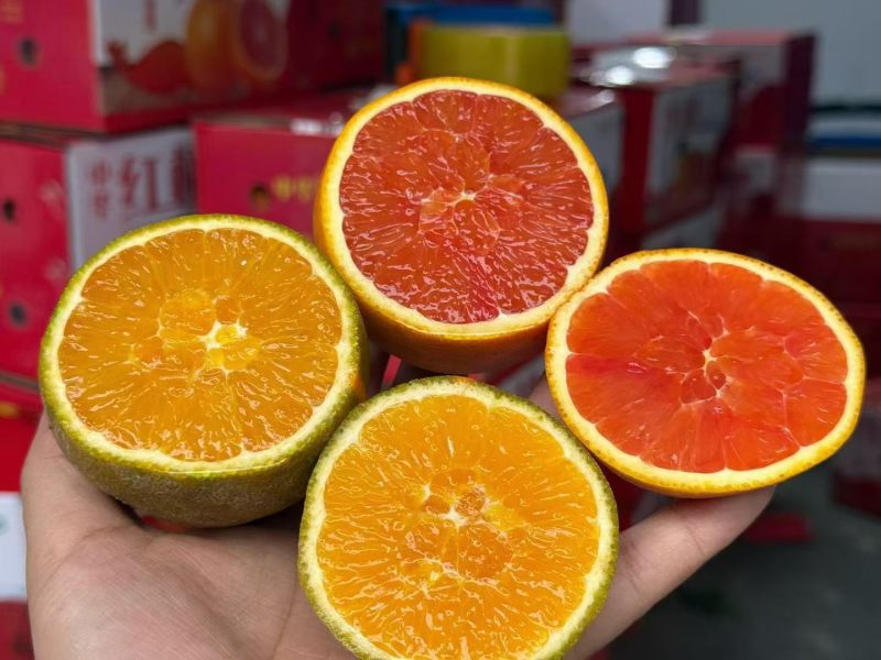 秭归血橙，量大价优，